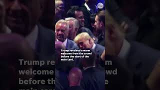 Donald Trump attends UFC 309 at Madison Square Garden Shorts [upl. by Vasily914]