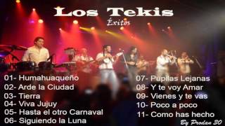 Los Tekis  Éxitos en vivo [upl. by Nauwtna]