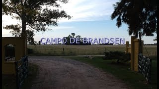 Campo de Brandsen [upl. by Knapp]