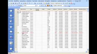 Risorse allocate su più progetti con Micrososoft Project [upl. by Elockin]