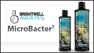 Brightwell Aquatics MicroBacter 7 [upl. by Threlkeld]