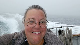 Whale Watching Cruise  Van Life Vlog [upl. by Ytirehc]