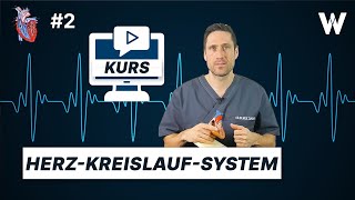 2 – Herz Kreislauf System [upl. by Brosy25]