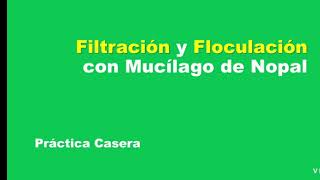 Floculación con mucílago de nopal Práctica casera [upl. by Brindell]