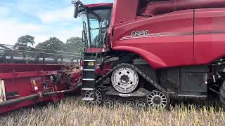 Case 9250 AFS Axial Flow Harvest 2024 [upl. by Laband99]