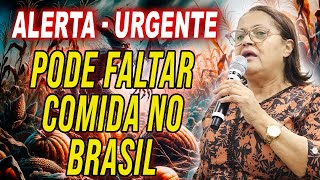 Cristina Maranhão CLAMEM PELO AGRO  ALERTA URGENTE [upl. by Towroy]