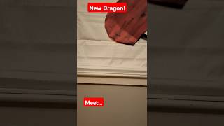 New dragon this is not the 400 subs one dragonpuppets dragonpupet dragonpuppeteer [upl. by Alcus]