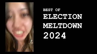 Promemoria 2024 the Meltdown [upl. by Atihana]