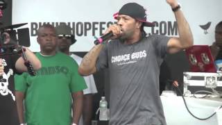 Redman in Brooklyn HipHop Festival 2013 [upl. by Isabelita614]