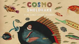 Cosmo Sheldrake  Run Rings Right Wrongs [upl. by Atiuqram858]