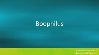 Pronunciation of the words quotBoophilusquot [upl. by Nivanod]