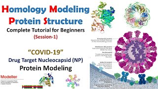 Homology Modeling for Beginners  COVID19 NP Protein Modeling Modeller Tutorial  Bioinformatics [upl. by Romelda964]