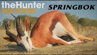 thehunter call of the wild Springbok [upl. by Franckot]