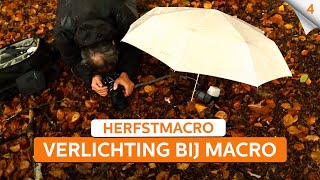 Reportageflitser gebruiken bij macrofotografie  Macrofotografie in de herfst  Zoomnl  4 [upl. by Lynnea]