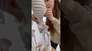 Our anatomy teacher demonstrates the process of creating an écorché in clay to explai [upl. by Eugenie]