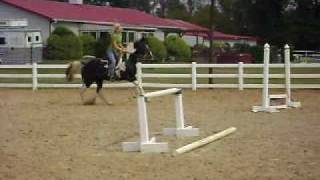 Tennessee walking gaited horse jumping [upl. by Noel]