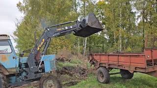 Bringing the manure to the field [upl. by Gisela]