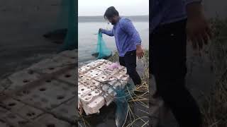 rehu 🐠🐋🐟bada talab😱 khanugav bhopal [upl. by Yzdnil]