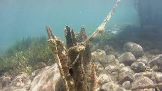 Snorkeling in Molyvos Lesvos Rollei 500 Sunrise action cam [upl. by Lenor318]