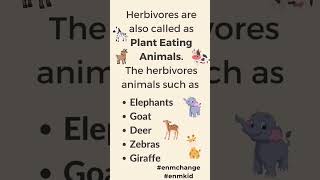 Plant Eating Animals ¦ Plant Eating Animals Name ¦ Herbivores [upl. by Babby]