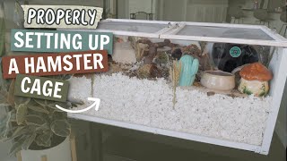 How to PROPERLY Set up a Hamster cage [upl. by Hartmann]