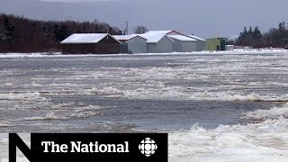 Heavy flooding prompts evacuation anxiety in Newfoundland [upl. by Nus]