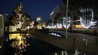 CHRISTMAS ILLUMINATION TOKYO 2013 [upl. by Adnwahsal]