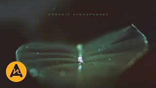 Astral Flare Organic Atmosphere  Nathan Feddo amp Henry White [upl. by Gildas]