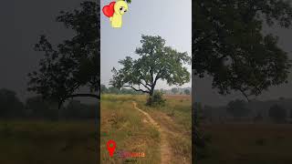 Tere khayalon mein dooba 🤗nature viralshorts beauty location [upl. by Ditter]