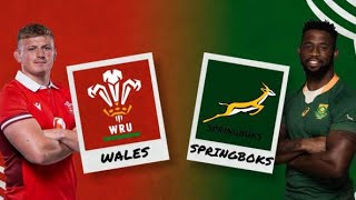 South Africa vs Wales 2023 [upl. by Janean947]