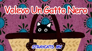 MV Volevo Un Gatto Nero revision [upl. by Esinaj37]