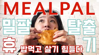 NY최빅희ㅣMEALPAL 밀팔 탈출기ㅣ뉴욕에서 밥먹고 살기 참 힘들다 [upl. by Rafi]