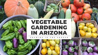 VEGETABLE GARDENING in Arizona 7 Principles for SUCCESS Growing in the Garden [upl. by Lorne]