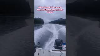 Going through the narrows with Haida Gwaii Sports Fishing oceanlife beautifulbritishcolumbia [upl. by Nikita143]