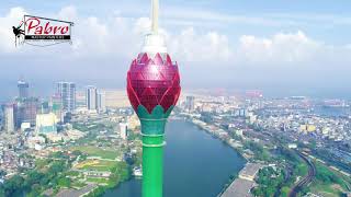 Glass Cleaning Lotus Tower  Tallest Tower in South Asia  Pabro Master Painters Pvt Ltd [upl. by Ydna]