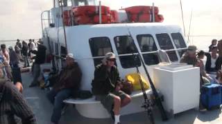 Speed Twin Sportfishing  Channel Islands Sportfishing Center [upl. by Arick52]