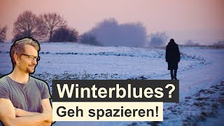 Besser durch den Winter Spaziergänge in der dunklen Jahreszeit [upl. by Aynatan]