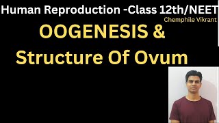 OOGENESIS amp Structure Of Ovum chemphilevikrant [upl. by Htaras]