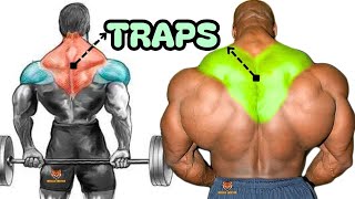 TRAPS WORKOUT 8 best exercises with dumbbells barbell cable only at home or gym [upl. by Donny637]