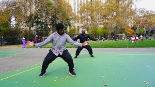 Bajiquan 八極拳  Da Baji 大八極 [upl. by Anitnauq]