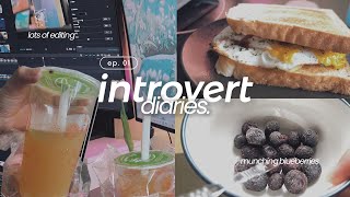 introvert diary ep 1 ʚɞ ⁺˖  weekend vlog slow editing amp studying sesh [upl. by Cristen]