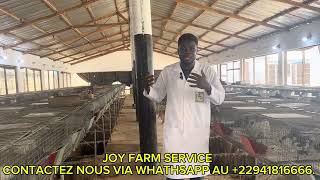 Le cannibalisme en cuniculture  causes et solutions [upl. by Ahsir529]