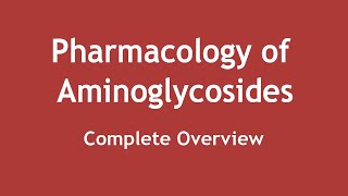 Pharmacology of Aminoglycosides  Complete Overview ENGLISH  Dr Shikha Parmar [upl. by Krystle]