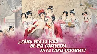 ¿cómo era la vida de una concubina en la China imperial [upl. by Yticilef]