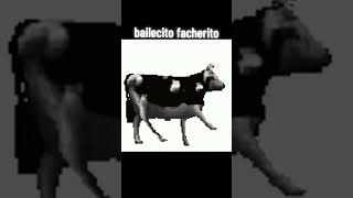 Bailecito facherito Edits [upl. by Litton784]