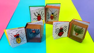 How to make a paper insect book  Paper bug  Miniature bug book [upl. by Elletse]