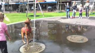 Stads park denhelder spelen in de fontein [upl. by Marc]