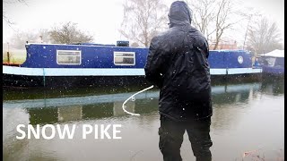 Pike fishing in the SNOW with the Chinger Fisherman [upl. by Ynnek]