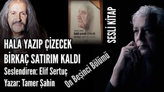 SESLİ KİTAP15 BölümHala Yazıp Çizecek Birkaç Satırım Kaldı  Tamer ŞahinSeslendiren Elif Sertuç [upl. by Sandie944]