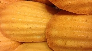 Madeleines French Tea Biscuits [upl. by Andreana]